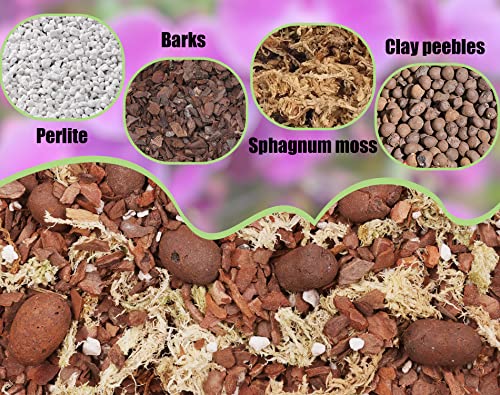 Tropical Orchid Potting Mix 1 qt