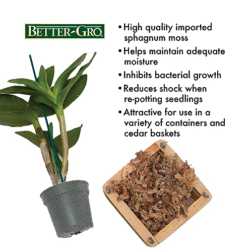 Better Gro Orchid Moss - 190 cu.in