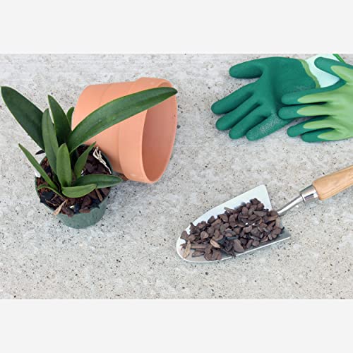 Tropical Plant Potting Mix - 2 QTs