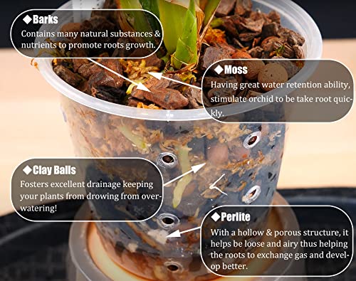 Tropical Orchid Potting Mix 1 qt