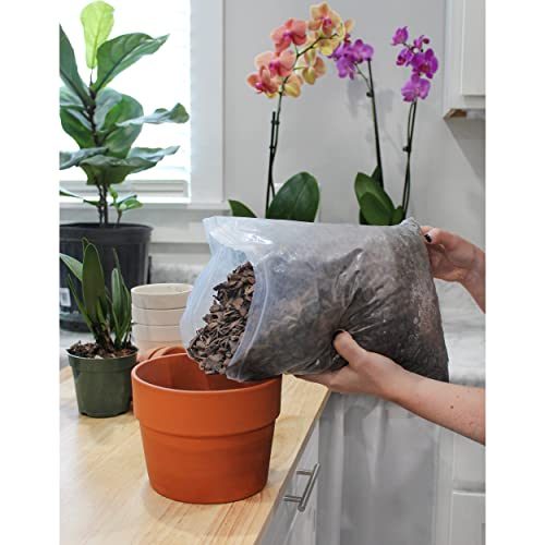 Tropical Plant Potting Mix - 2 QTs