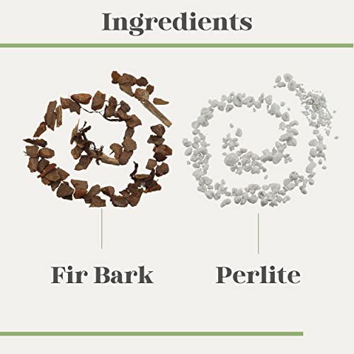 Tropical Plant Potting Mix - 2 QTs