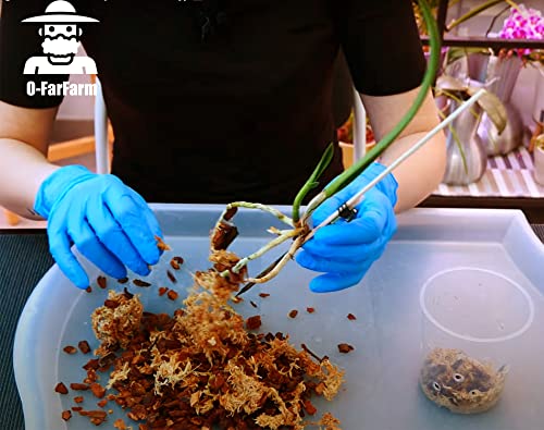 Tropical Orchid Potting Mix 1 qt