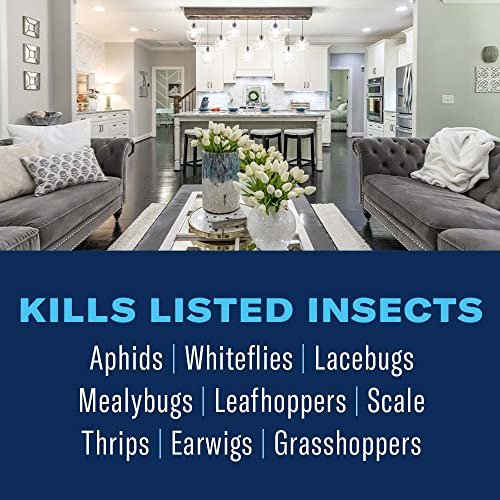 Organic houseplant insect killer, 24oz