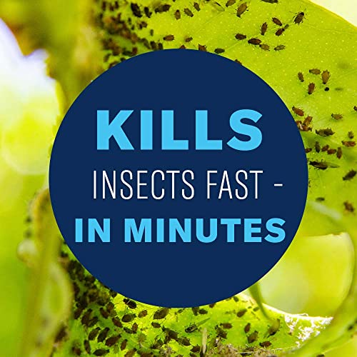 Organic houseplant insect killer, 24oz