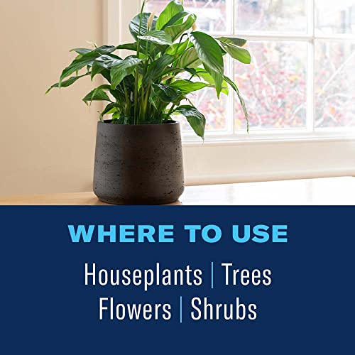 Organic houseplant insect killer, 24oz