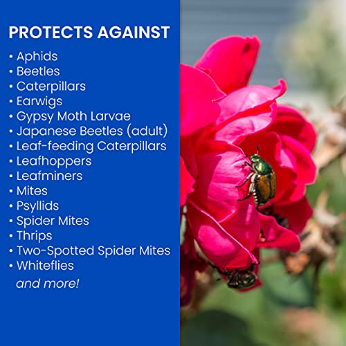 Tropical Plant Insect Control Spray, 32 oz