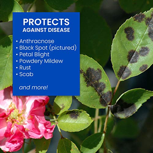 Tropical Plant Insect Control Spray, 32 oz