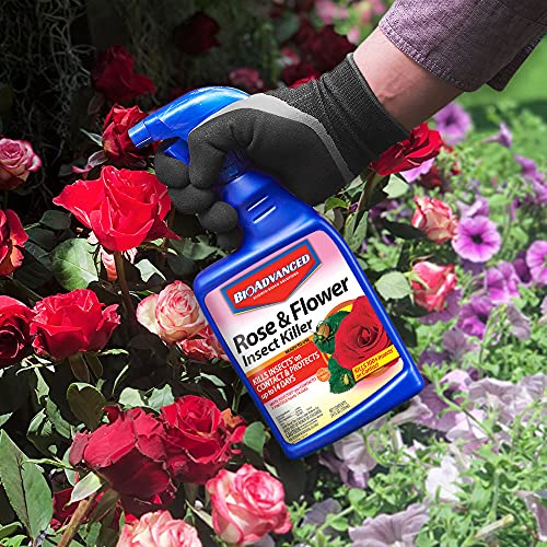 24 oz Rose and Flower Insect Killer