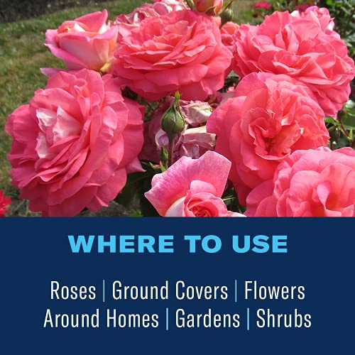 24 oz Rose and Flower Insect Killer