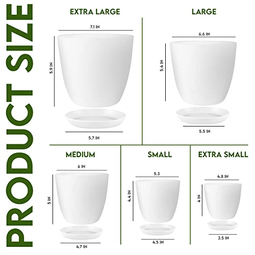 Tropical Plant Plastic Pots - Pack of 5
