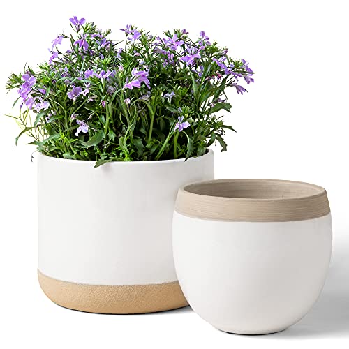 White Ceramic Plant Pots with Cracked Detailing