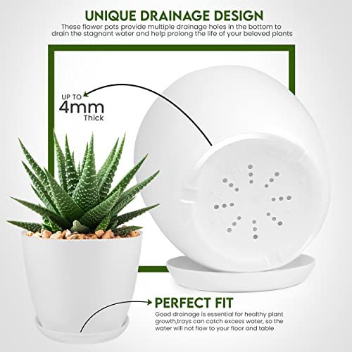 Tropical Plant Plastic Pots - Pack of 5