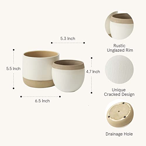 White Ceramic Plant Pots with Cracked Detailing