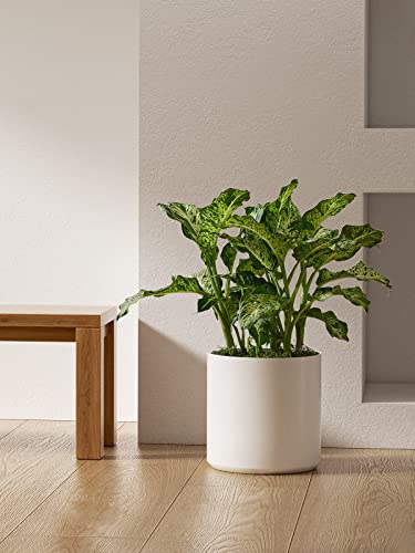 Ceramic 12" Tropical Plant Pot, Mid-Century Style White