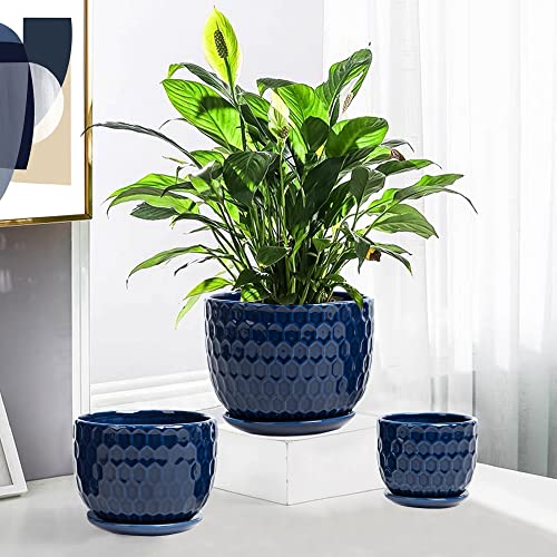 Nattol Navy Blue Ceramic Succulent Pots (set of 3)