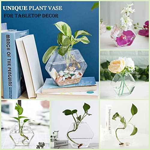 Hexagon Glass Planter Set for Plant Lovers