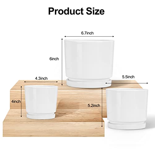 White Ceramic Planters with Saucers - 3 Pack