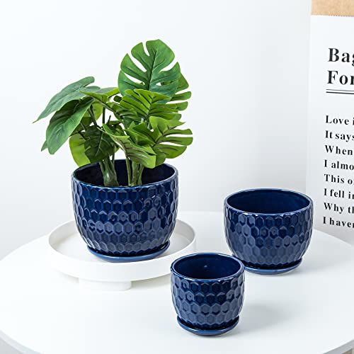 Nattol Navy Blue Ceramic Succulent Pots (set of 3)