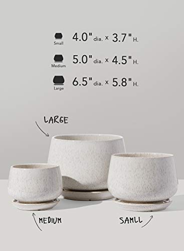 Tropical Ceramic Planters Set with Saucer