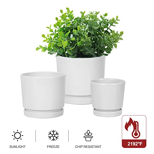 White Ceramic Planters with Saucers - 3 Pack