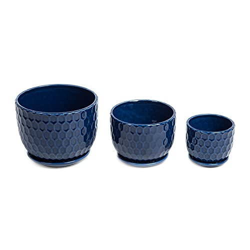 Nattol Navy Blue Ceramic Succulent Pots (set of 3)