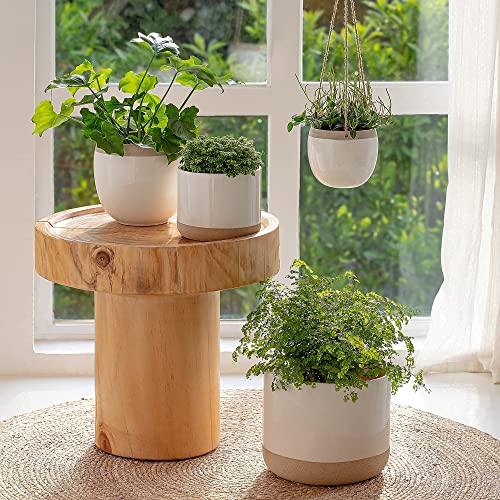 White Ceramic Plant Pots with Cracked Detailing