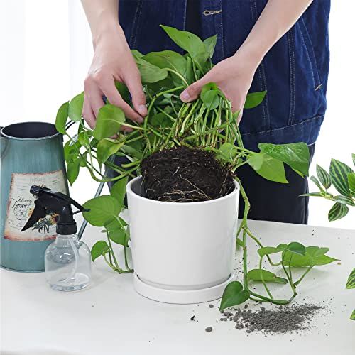 White Ceramic Planters with Saucers - 3 Pack
