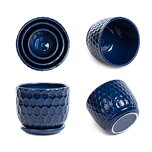 Nattol Navy Blue Ceramic Succulent Pots (set of 3)