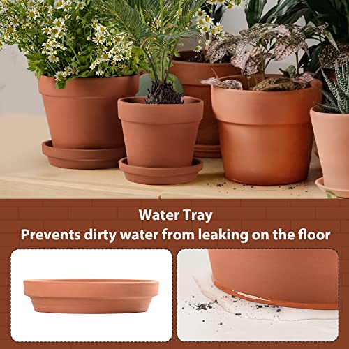 Set of Three Clay Plant Pots with Saucer