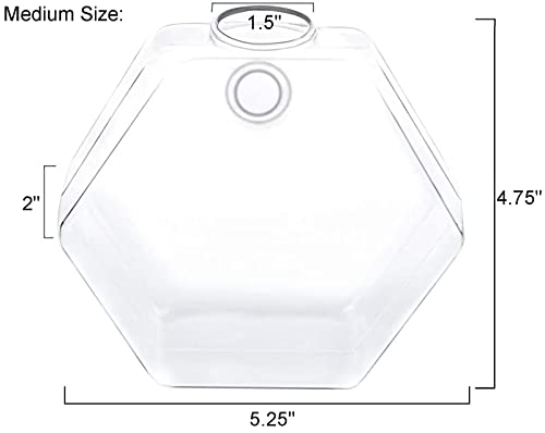 Hexagon Glass Planter Set for Plant Lovers