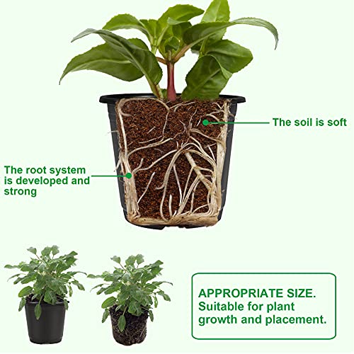 40 Black Plastic 4" Plant Nursery Pots