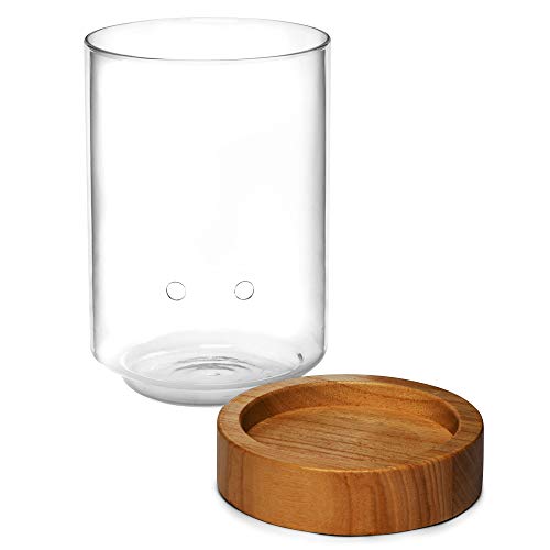 Glass Indoor Planter with Water Level Control & Wooden Base