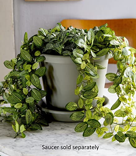 Warm Gray 15.5" Round Classic Planter for Plants