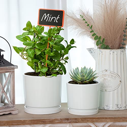 White Ceramic Planters with Saucers - 3 Pack