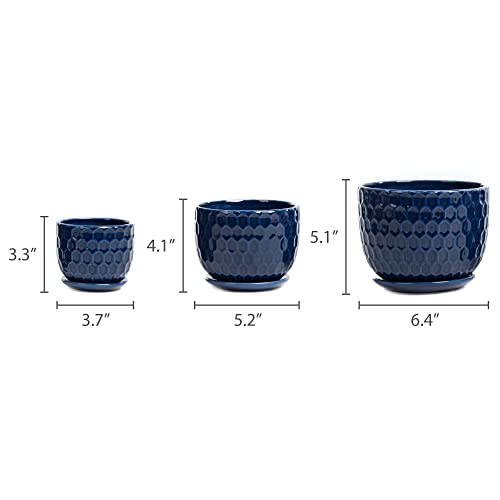 Nattol Navy Blue Ceramic Succulent Pots (set of 3)