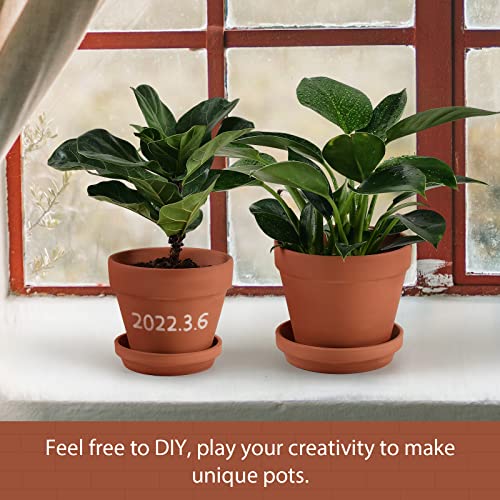 Set of Three Clay Plant Pots with Saucer