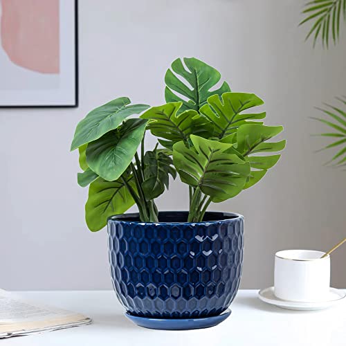 Nattol Navy Blue Ceramic Succulent Pots (set of 3)