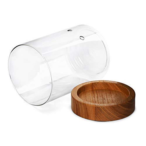 Glass Indoor Planter with Water Level Control & Wooden Base