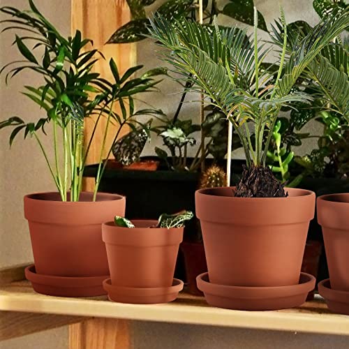 Set of Three Clay Plant Pots with Saucer