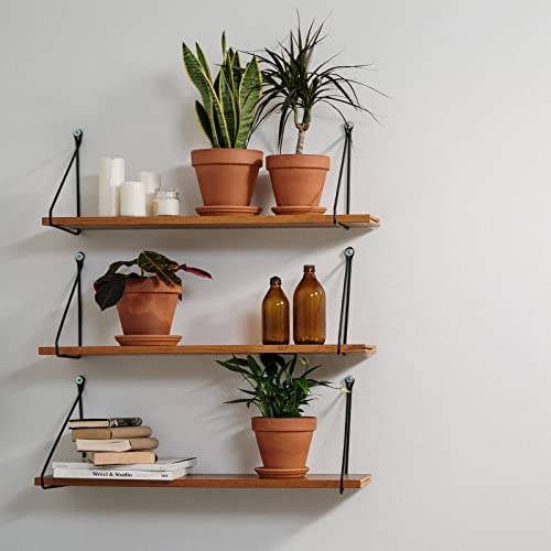 Set of Three Clay Plant Pots with Saucer