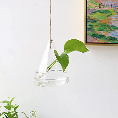 Hanging Glass Terrarium for Hydroponic Plants