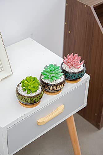 Set of 5 Cute Succulent Pots with Saucers