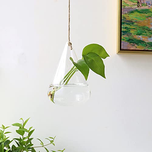 Hanging Glass Terrarium for Hydroponic Plants