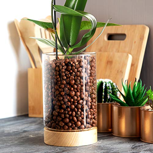 Glass Indoor Planter with Water Level Control & Wooden Base