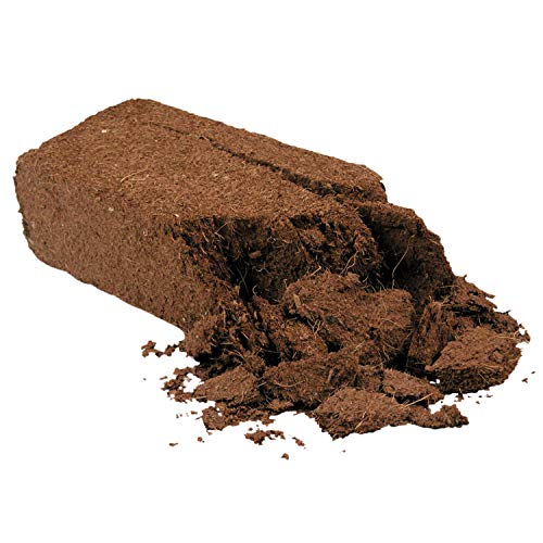 Coconut Husk Bedding for Tropical Reptiles & Amphibians