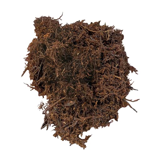 Tree Fern Fiber Substrate (10 qts)