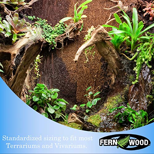 Natural Tree Fern Background Panels for Vivariums