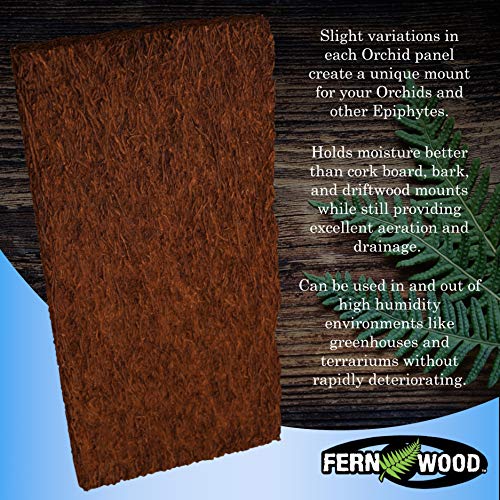 Fernwood Tree Fern Mounting Board - Natural & Sustainable