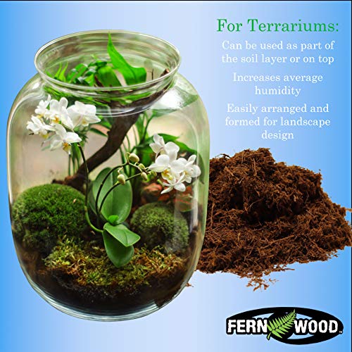 Organic Fernwood Orchid Growing Medium & Substrate